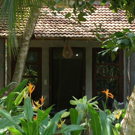 Dreamtime Hotel ฮิกคาดูวา ภายนอก รูปภาพ