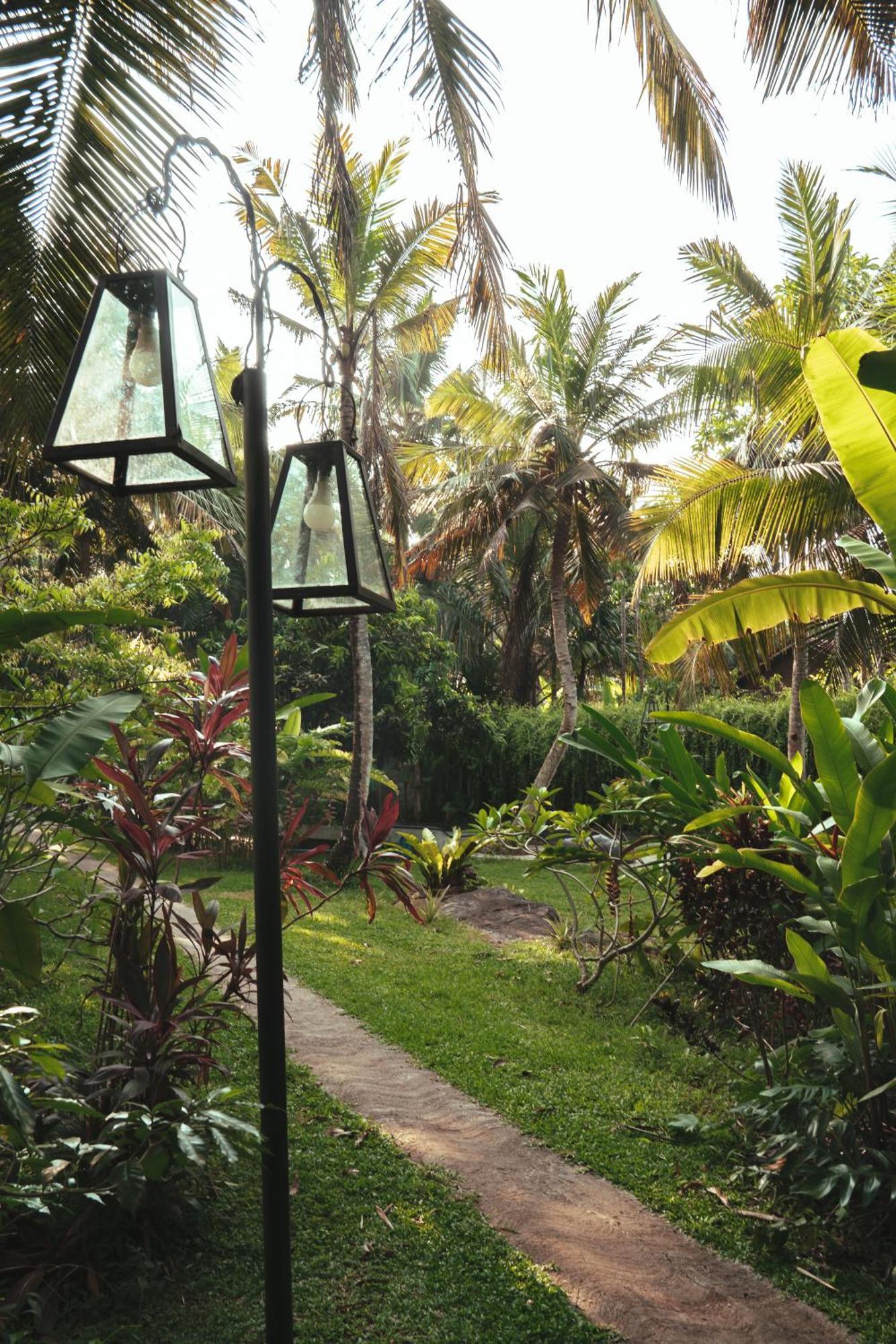 Dreamtime Hotel ฮิกคาดูวา ภายนอก รูปภาพ