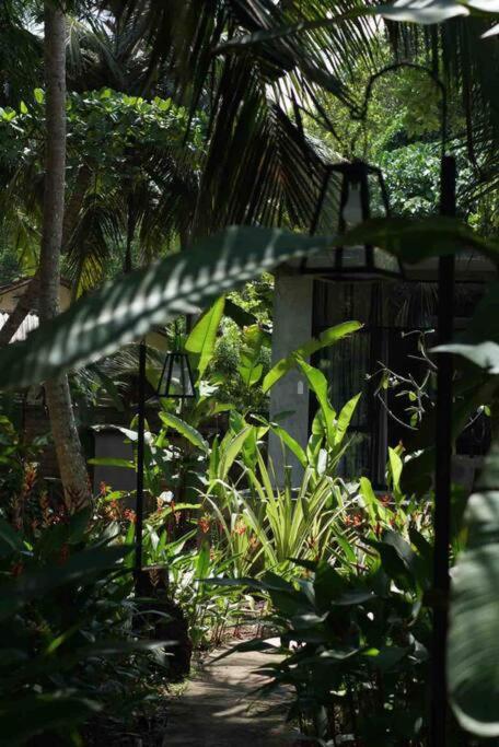 Dreamtime Hotel ฮิกคาดูวา ภายนอก รูปภาพ